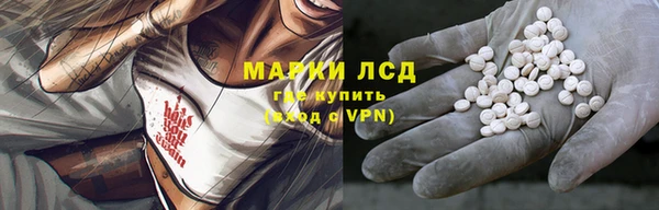 стафф Аркадак