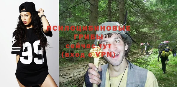 метадон Арсеньев
