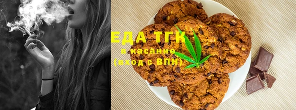 стафф Аркадак