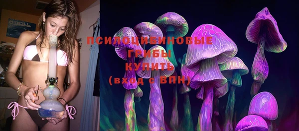 стафф Аркадак