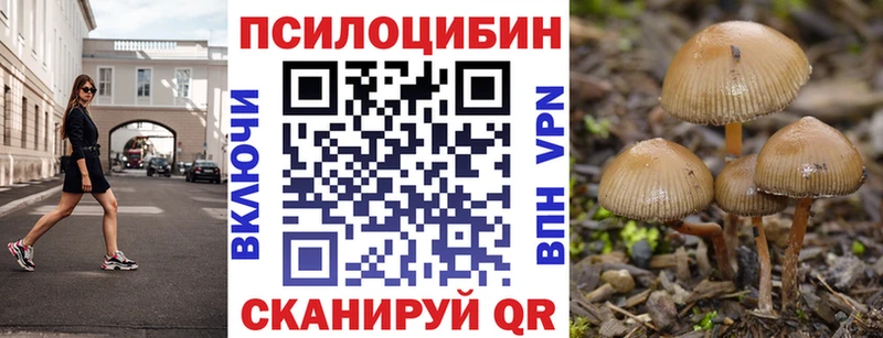 omg ссылки  Суворов  Галлюциногенные грибы Magic Shrooms 